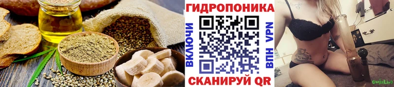 Cannafood марихуана  Купить закладки  Фрязино 