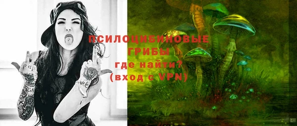 ешки Бугульма