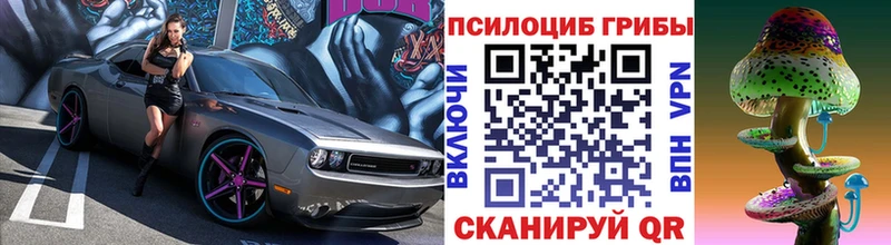 Псилоцибиновые грибы Psilocybe  Купить  Фрязино 